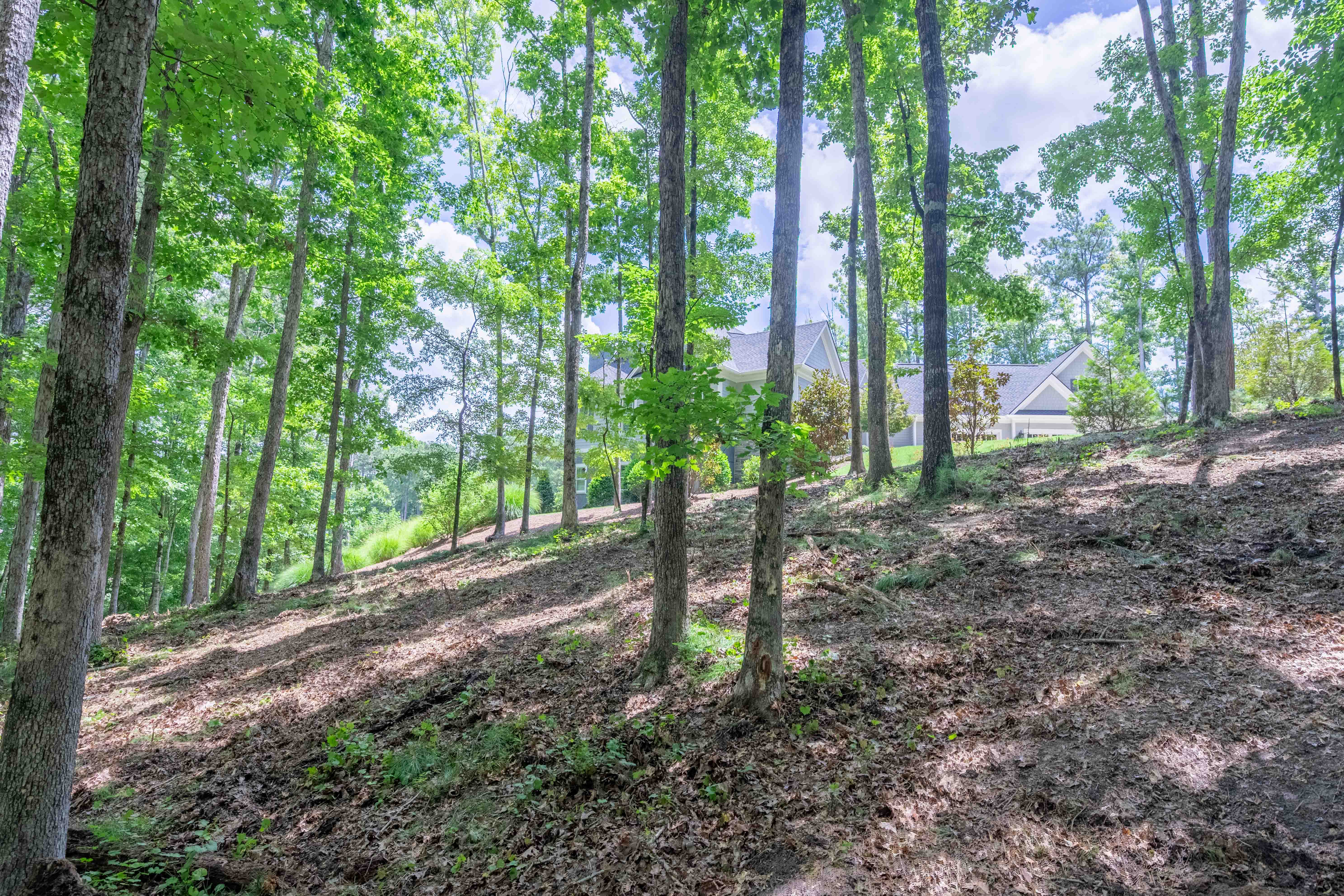 1090 Lumbering Creek image 12